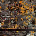 Monolake - Studio (2LP)