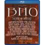 Bno: Here & There 2 / Various - Bno: Here & There 2 / Various [Regio free (0)]