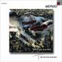 Francesco Filidei / Otto Katzameier - fluchtlinie/NAHT/tourbillon/ferner,und immer ferne