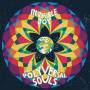 The Polyversal Souls - Invisible Joy (2LP)