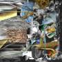 Yan Hart-Lemonnier - Le Partage des Griefs