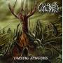 Calcined - Tormenting Attractions