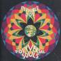 The Polyversal Souls - Invisible Joy