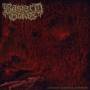 Bastard Grave - Diorama Of Human Suffering (Black Vinyl)
