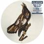 Clutch - Book Of Bad Decisions (Ltd. 2LP Picture Disc)