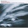 Miroslav Vitous - Universal Syncopations