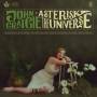 john Craigie - Asterisk the Universe