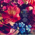 Markus Group Stockhausen - Celebration(2LP)