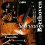Schnbrunn Ensemble - SERENADEN OP.8,OP.25