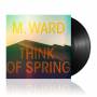 M. Ward - Think Of Spring