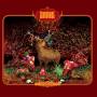 Snail - Feral