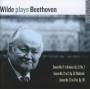 David Wilde - Klaviersonaten 17,21 & 31