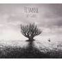 Fismoll - At Glade