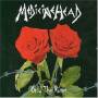 Medicine Head - Only The Roses