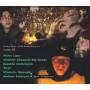 V / a - Golden Years Soviet Jazz