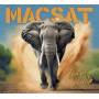 Macsat - Turn It Up