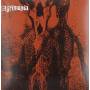 Agrimonia - Agrimonia