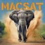 Macsat - Turn It Up (Gatefold/180Gr. Crystal Clear Vinyl)