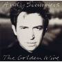 Andy Summers - Golden Wire