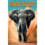 Macsat - Turn It Up