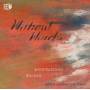Bruce Levingston - Without Words