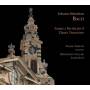 Frank Theuns / Bertrand Cuiller - Sonaten und Partiten fr Traversflte