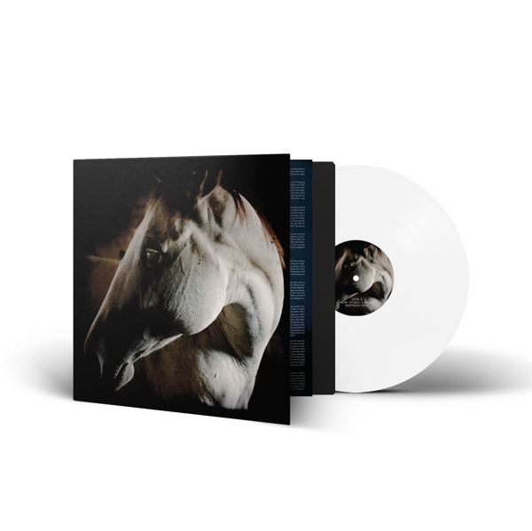 How To Kill A Horse (White Vinyl) 1
