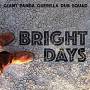Giant Panda Guerilla Dub Squad - Bright Days (Ltd.Edition)