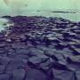 Farflung - Unwound Celluloid Frown