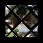 Psychic Temple - Iii