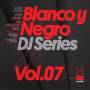 Various - Blanco Y Negro DJ Series 2013 Vol.7