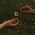 Goldmund - The Time It Takes (Ltd.Orange Vinyl)