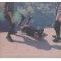 Local Natives - Hummingbird
