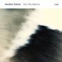 avishai Cohen - Into The Silence