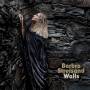 Barbra Streisand - Walls