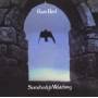 Rare Bird - Somebodys Watching