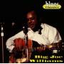 Big Williams Joe - Blues Classics