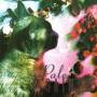 Pale Saints - The Comforts Of Madness 30th Anniversary Edition