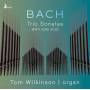 Tom Wilkinson - Bach: Trio Sonatas BWV 525-530