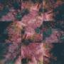 Say She She - Prism (Natural W/Black Swirl Vinyl)