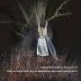 Kammerflimmer Kollektief - There Are Actions Which We Have Neglected And Whic