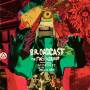 Broadcast & The Focus Group - Investigate Witch Cults Of The Radio Age