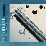 Afterlife - Breaking Point (Viinyl)
