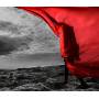 Aimer - Brave Shine