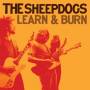 Sheepdogs - Learn & Burn (vinyl)