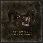 Jethro Tull - Curious Ruminant