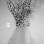 Negura Bunget - Zau (Black Vinyl)