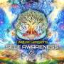 Twelve Sessions - Self Awareness