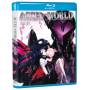 Accel World Set 1 (2pc) / (2pk) - Accel World Set 1 [US-Version, Regio 1]