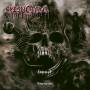 Fleshcrawl - Soulskinner Reissue (black Lp 180g)